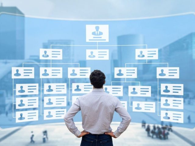 مهارات تطوير الهياكل التنظيمية والوصف الوظيفي